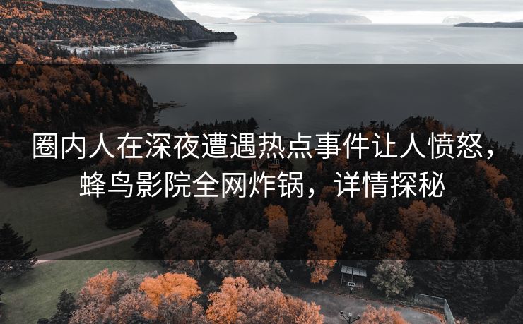 圈内人在深夜遭遇热点事件让人愤怒，蜂鸟影院全网炸锅，详情探秘
