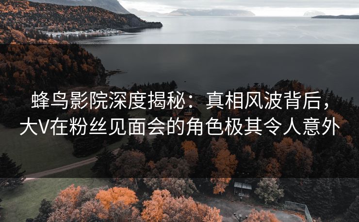 蜂鸟影院深度揭秘：真相风波背后，大V在粉丝见面会的角色极其令人意外